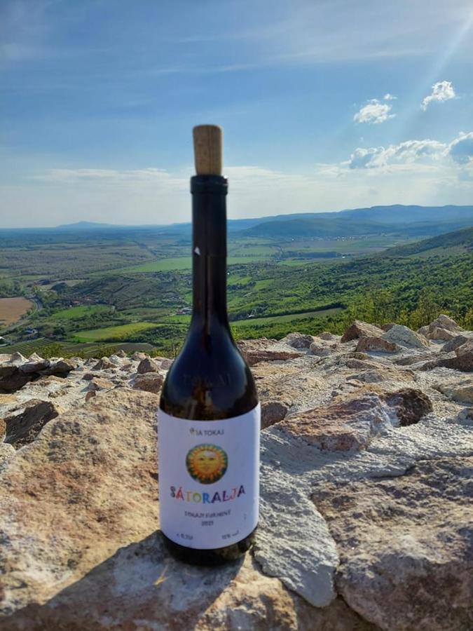 SátoraljaújhelyVia Tokaj Vendeghaz公寓 外观 照片