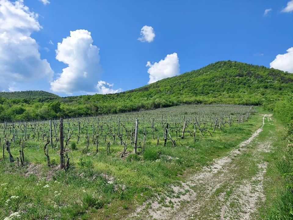 SátoraljaújhelyVia Tokaj Vendeghaz公寓 外观 照片