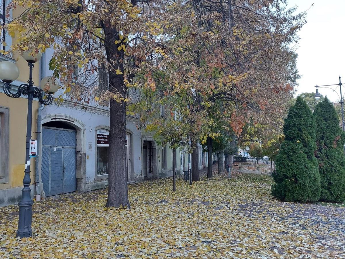 SátoraljaújhelyVia Tokaj Vendeghaz公寓 外观 照片