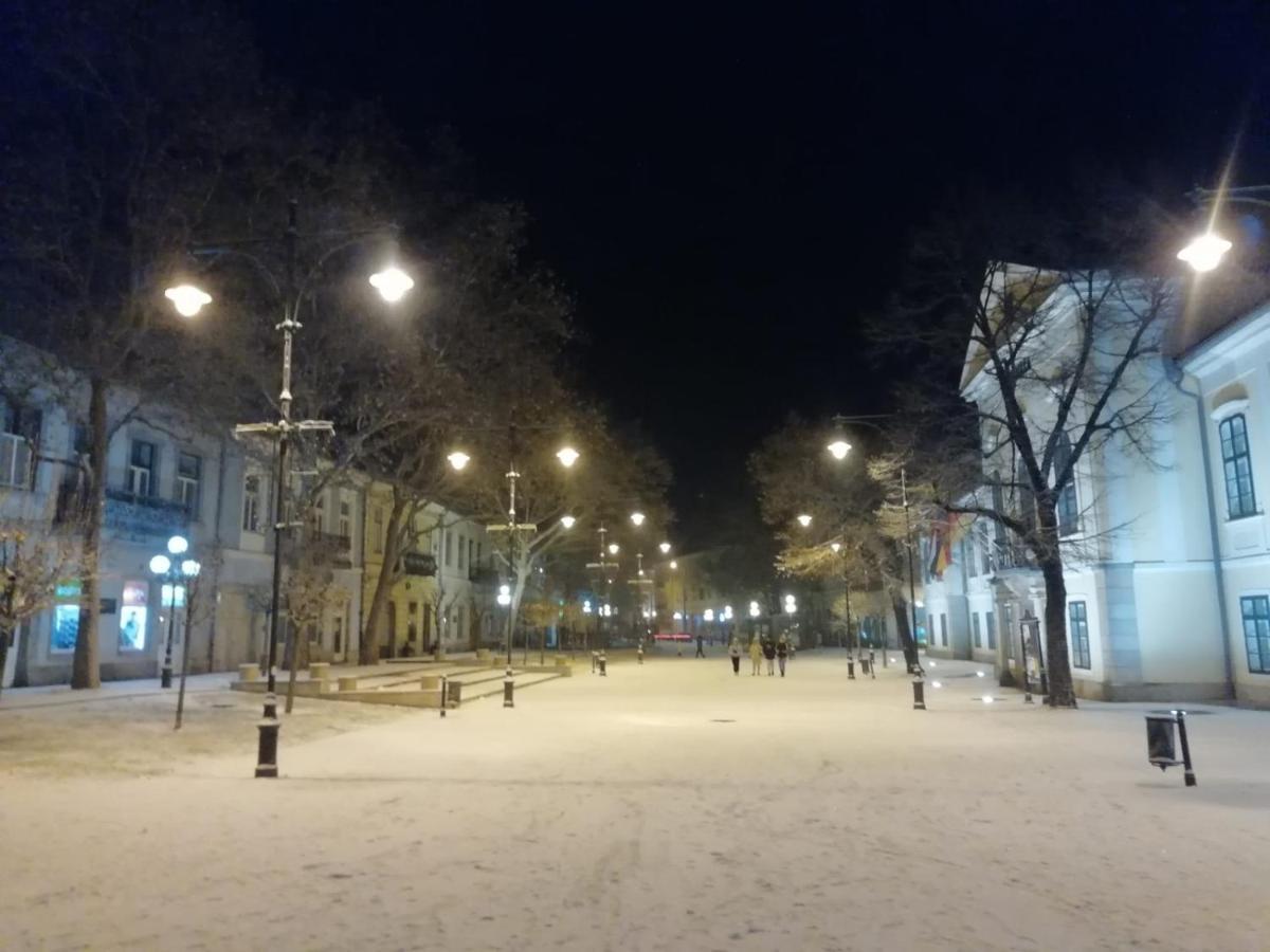 SátoraljaújhelyVia Tokaj Vendeghaz公寓 外观 照片
