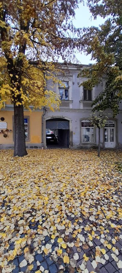 SátoraljaújhelyVia Tokaj Vendeghaz公寓 外观 照片